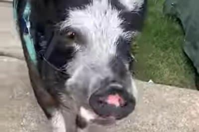 Generic skateboarding image